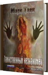 Таинственный незнакомец (Аудиокнига)