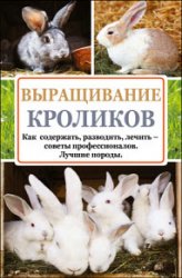 Выращивание кроликов. Как содержать, разводить, лечить – советы профессионалов. Лучшие породы