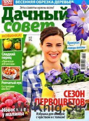 Дачный совет № 6 2016