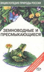 Земноводные и пресмыкающиеся. Энциклопедия природы России