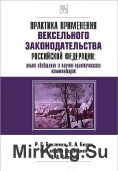 Практика применения вексельного законодательства Российской Федерации