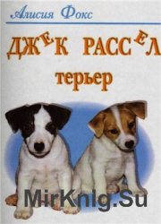 Джек рассел терьер