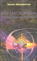 Что такое жизнь с точки зрения физики?