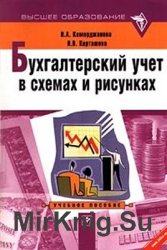 Бухгалтерский учет в схемах и рисунках