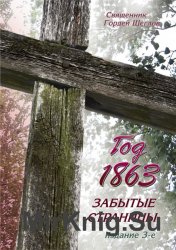 Год 1863. Забытые страницы