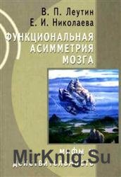 Функциональная асимметрия мозга. Мифы и действительность