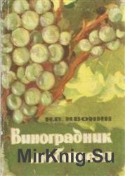 Виноградник любителя