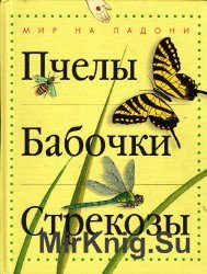 Пчелы. Бабочки. Стрекозы