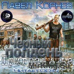 Черный полдень (Аудиокнига) m4b