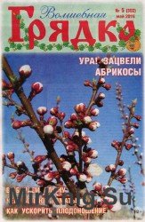 Волшебная грядка №5 2016