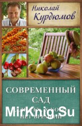 Современный сад для тех, у кого нет времени