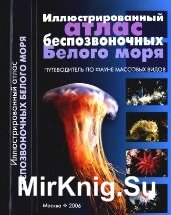 Иллюстрированный атлас беспозвоночных Белого моря. Путеводитель по фауне массовых видов