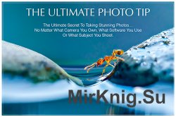 Extraordinary Vision - The Ultimate Photo Tip 2016