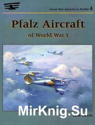 Pfalz Aircraft of World War I