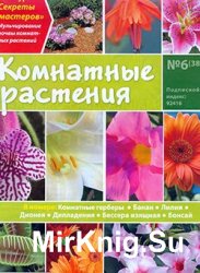 Комнатные растения № 6 (38)