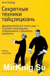 Секретные техники тайцзицюань. Древнекитайский стиль ушу - система самозащиты, оздоровления и духовного развития