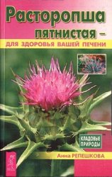 Расторопша пятнистая — для здоровья вашей печени