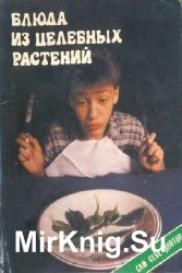 Блюда из целебных растений