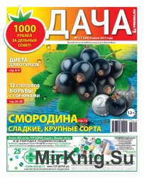 Дача №11 2015