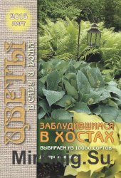 Цветы в саду и дома №3 2016