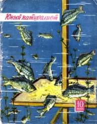 Юный натуралист №10 1957