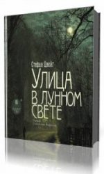  Улица в лунном свете  (Аудиокнига)