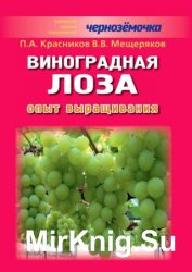 Виноградная лоза. Опыт выращивания