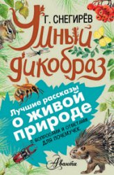 Умный дикобраз. С вопросами и ответами для почемучек