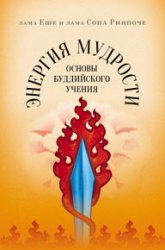 Энергия мудрости. Основы буддийского учения