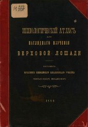 Иппологический атлас для наглядного изучения верховой лошади