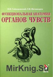 Функциональная анатомия органов чувств