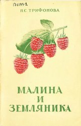 Малина и земляника