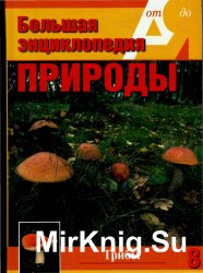 Большая энциклопедия природы. Грибы. Том 8