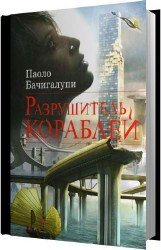 Разрушитель кораблей (Аудиокнига)