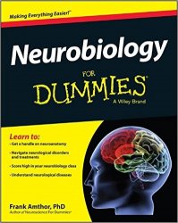 Neurobiology For Dummies