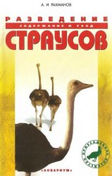 Разведение страусов