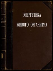 Энергетика живого организма с точки зрения современных физико-математических теорий