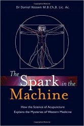 The Spark in the Machine: How the Science of Acupuncture Explains the Mysteries of Western Medicine