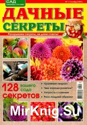 Дачные секреты № 11 2016