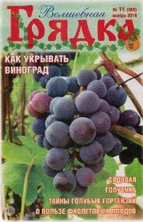 Волшебная грядка №11 2016