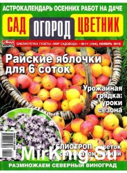 Сад. Огород. Цветник №11 2016