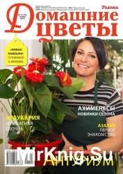 Домашние цветы №11 2016