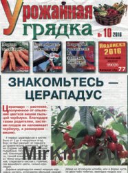 Урожайная грядка № 10, 2016