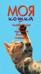 Моя кошка