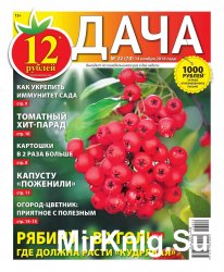 Дача №22 2016