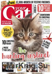 Your Cat - December 2016