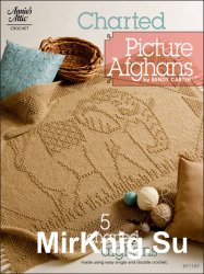 Charted Picture Afghans