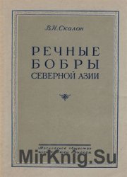 Речные бобры северной Азии