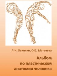 Альбом по пластической анатомии человека