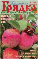 Волшебная грядка №12  2016